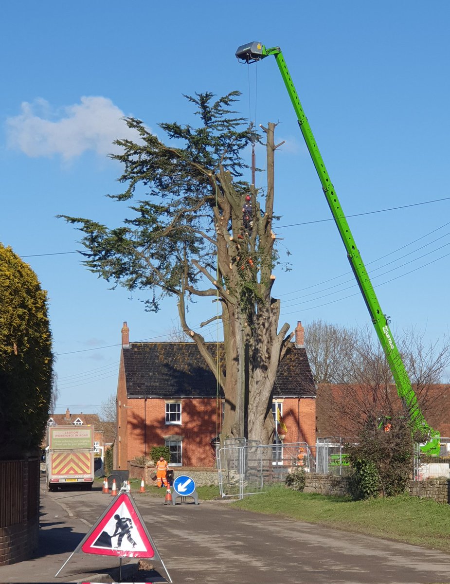 Carl Bovis tweet media