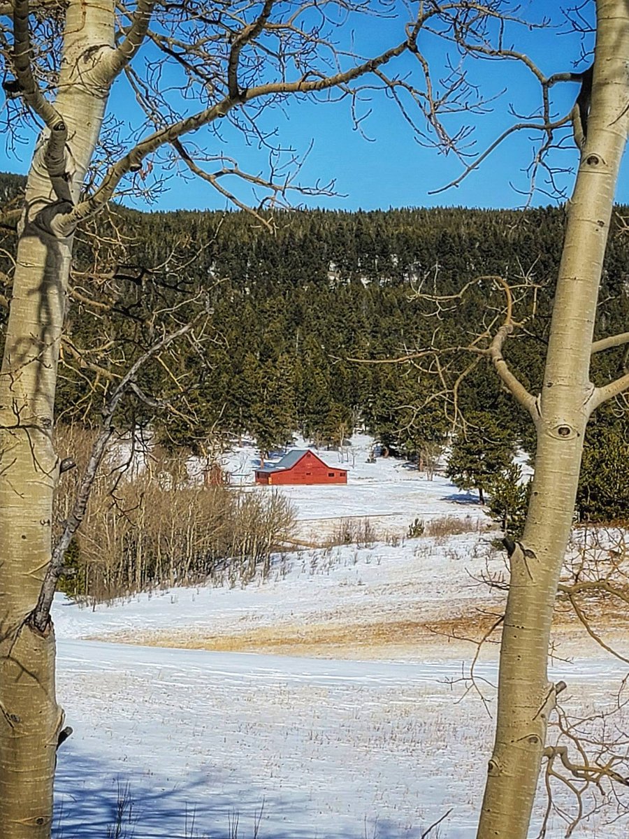 Boulder County’s Artist-In-Residence Program offers selected artists rustic accommodations at the fully restored Delonde Barn, allowing them to focus on their work in the inspiring serenity and landscape of the Caribou Ranch.
#Barns #ArtistInResidence #NatureInspired