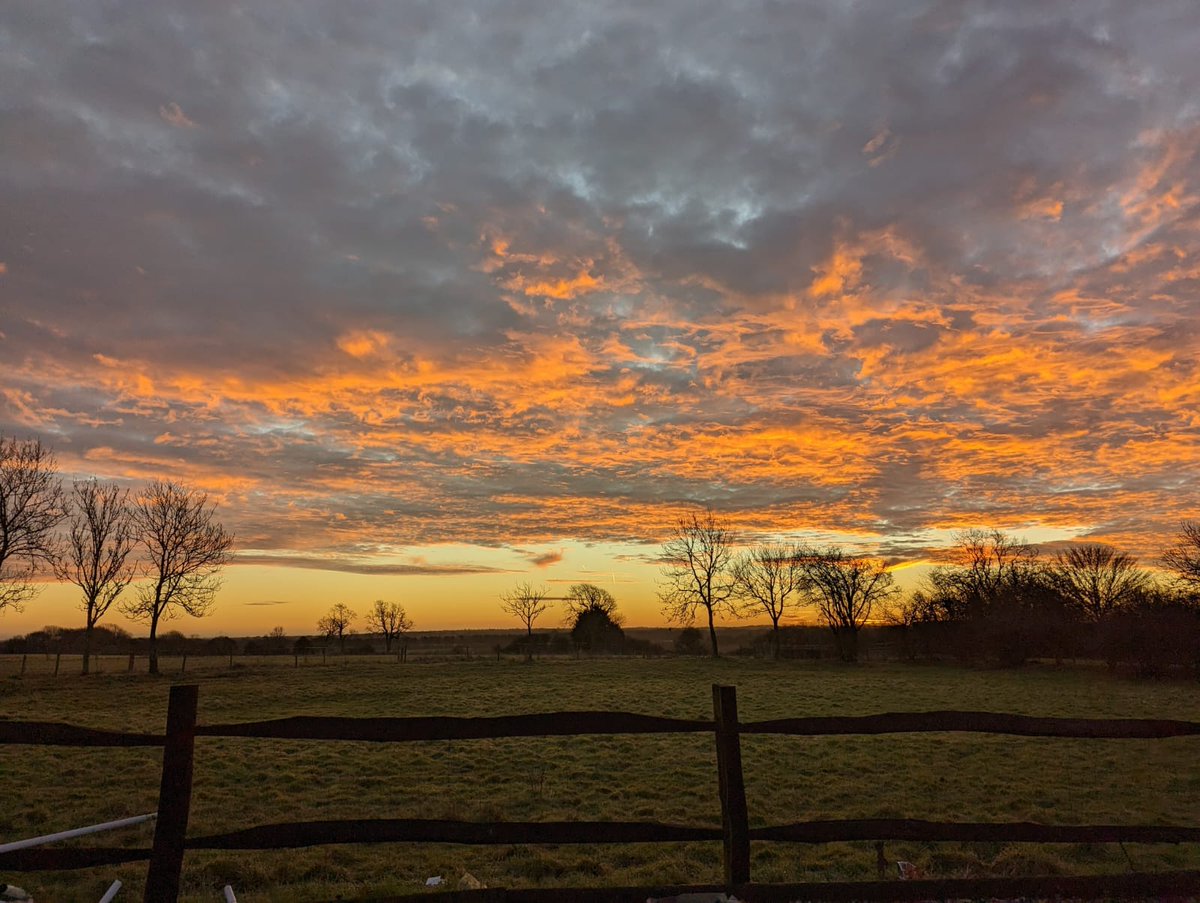 MilberryGreen's tweet photo. Imagine waking up after a cozy night's sleep to this sky! https://t.co/s7rcAy6GIS
 #glamping #camping #staycation #surrey https://t.co/eRM9UotQQ5