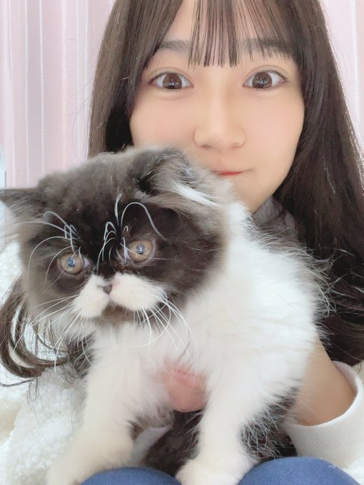 今村麻莉愛のTwitter画像7