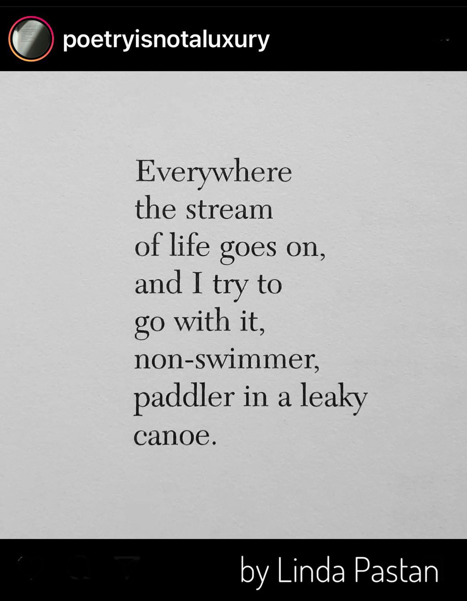 so different from Shane MacGowan’s: “any which way the wind may be blowing” #canoe