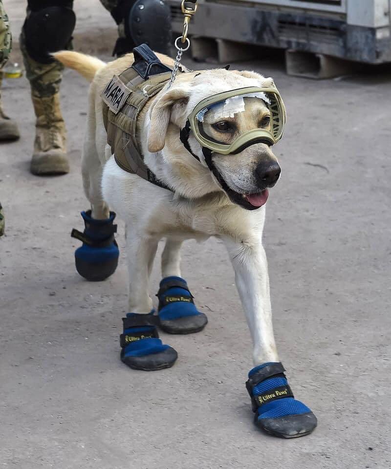 Çok yaşa ❤️❤️