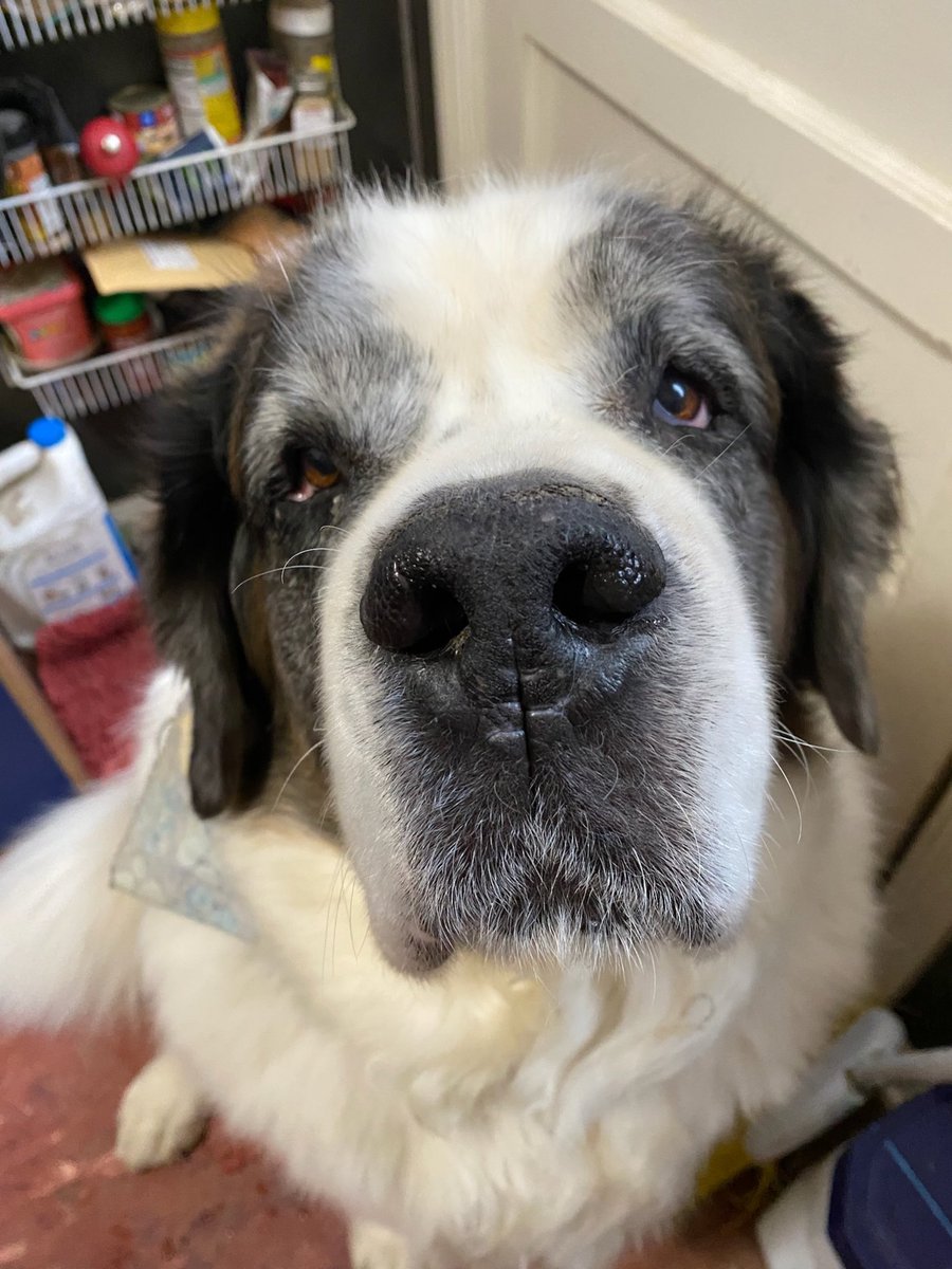 Thank you all for your condolences. This is how we prefer to remember Victoria, beautiful and full of joy. She was nearly 10 1/2 and she’s with her brother Vincent now. 🌈