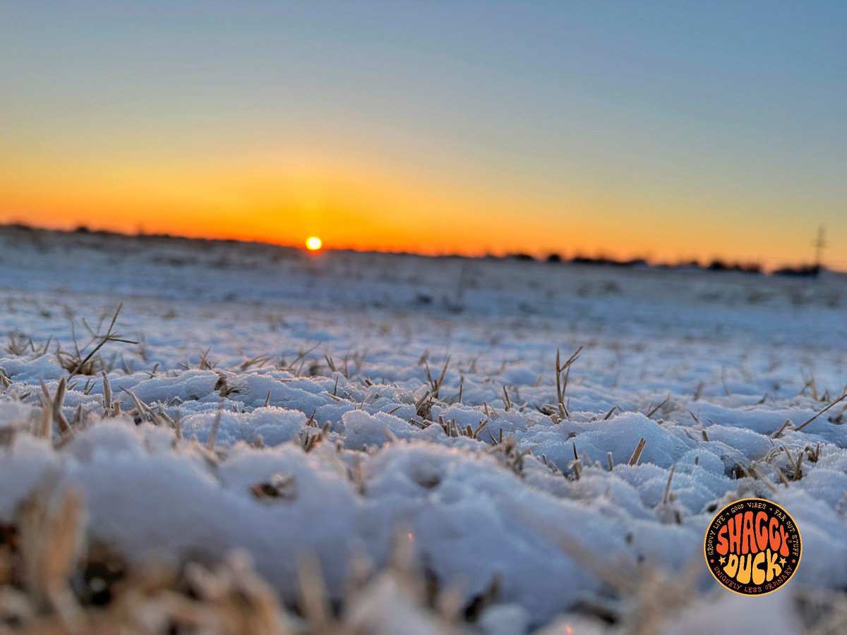 CurtisTucker's tweet photo. Frozen car doors and windshields, snow on the grass, black ice on the trail and one beeyouteefull sunrise! Welcome back Mr. Sun! Have a joyous day. Thursday vinyl is Boston (1978). #ashaggyducklife #sunrisetherapy https://t.co/ojp30LTStb