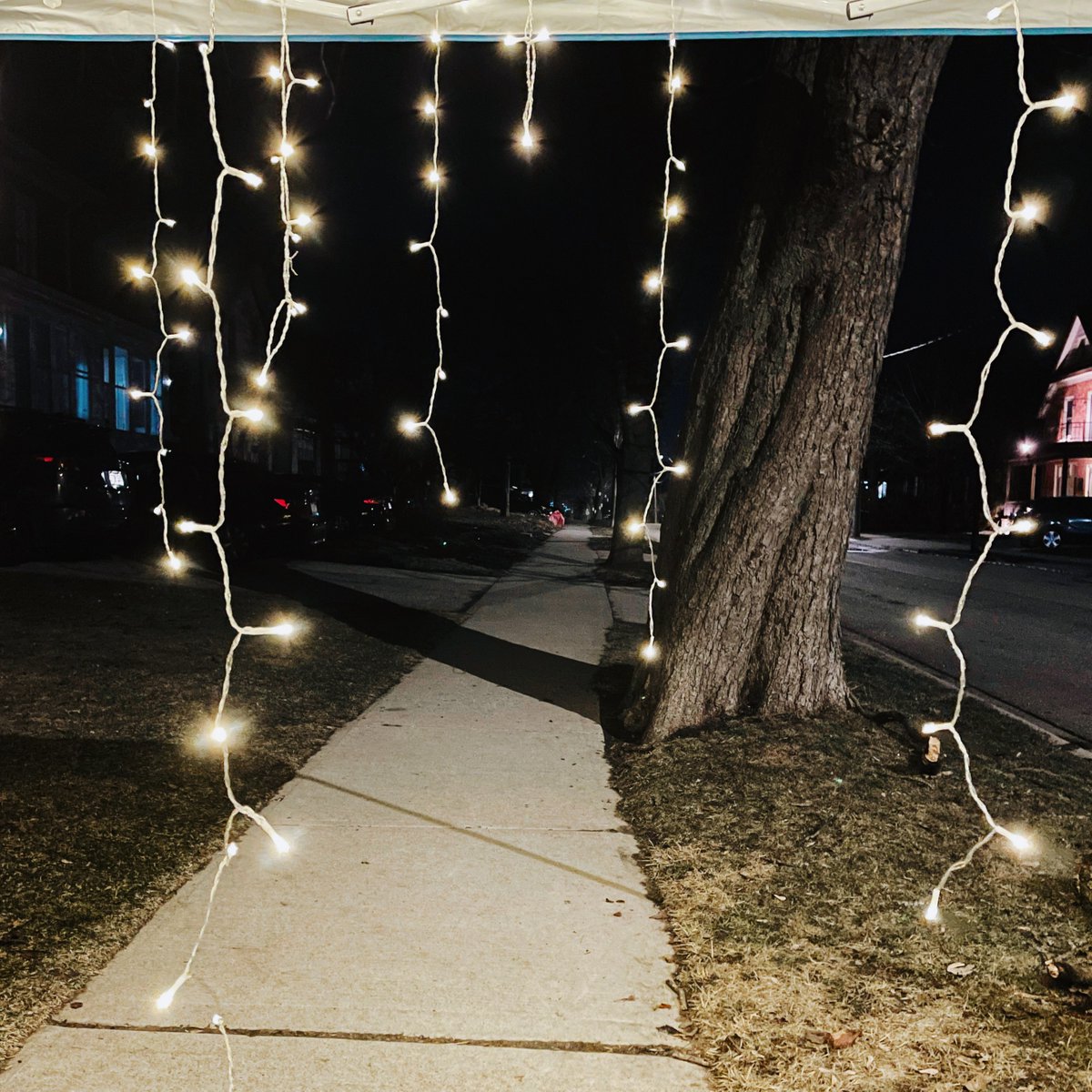 Shiverfest is back and happening February 18 7:00-8:30 PM 

This is a self-guided walking tour along Brubacher St of light installations created by your neighbours! Here are some pictures from last year's event.