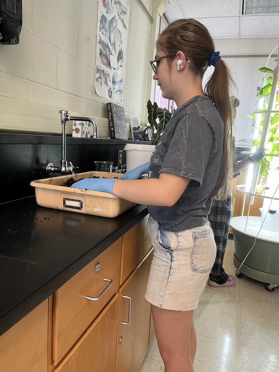 science_anderso's tweet photo. Carver College and Career Academy’s Garden Club is prepping soil to start seeds and maintaining our hydroponics towers.  They have dill hanging to dry. #CarverAcad #Bettereveryday https://t.co/SEFNMGvVbB