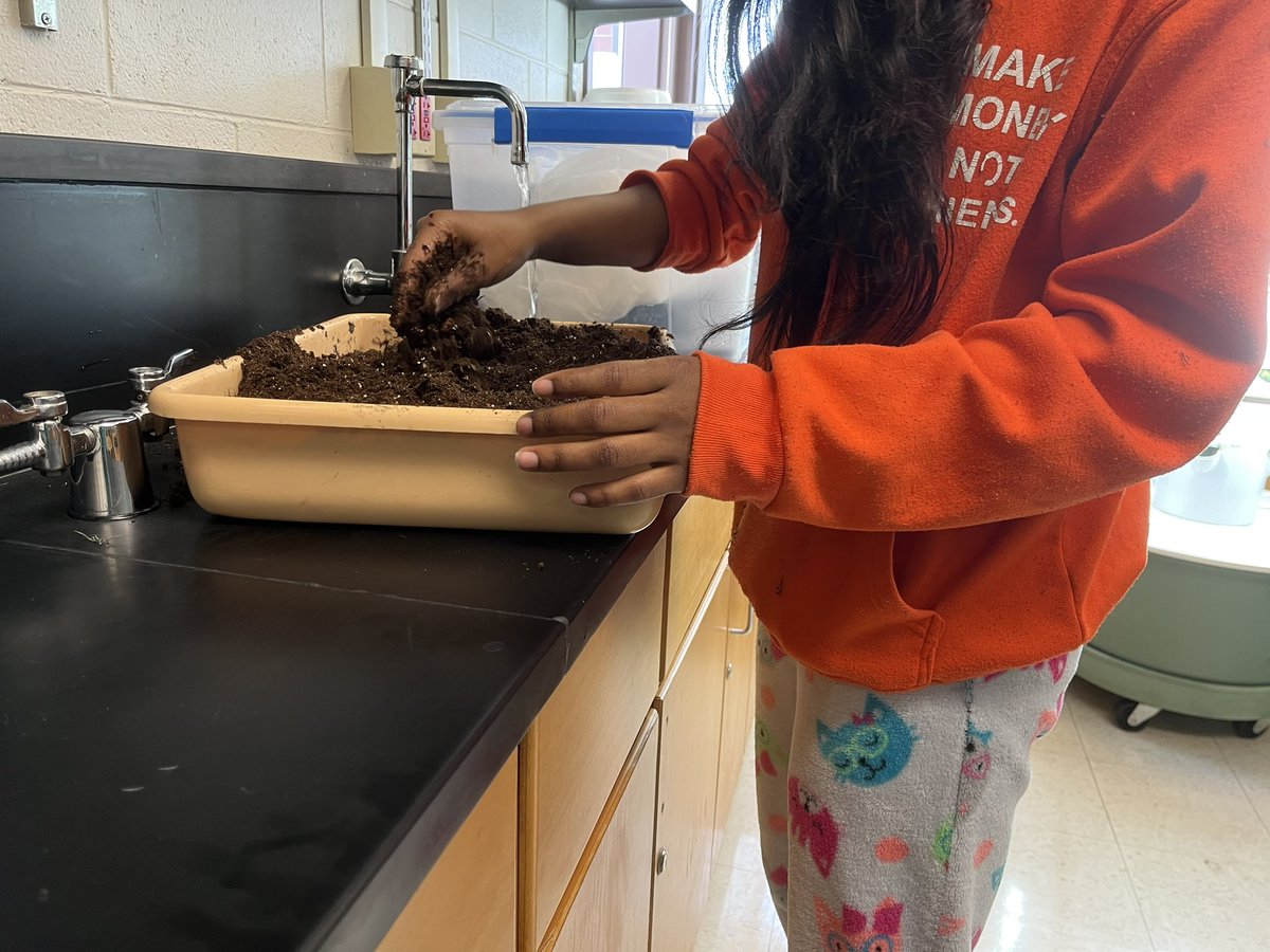 science_anderso's tweet photo. Carver College and Career Academy’s Garden Club is prepping soil to start seeds and maintaining our hydroponics towers.  They have dill hanging to dry. #CarverAcad #Bettereveryday https://t.co/SEFNMGvVbB