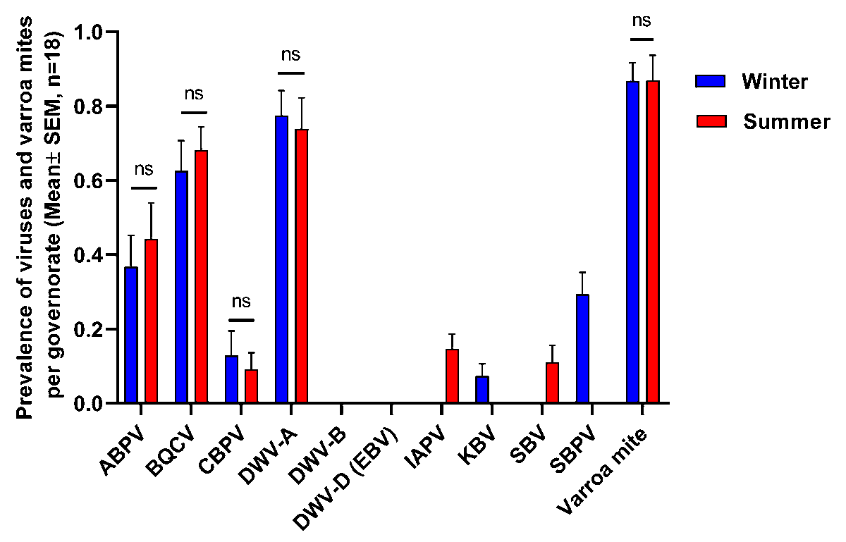 Al3759's tweet photo. The most common viruses in Egyptian honey bee colonies are Deformed wing virus genotype A (DWV-A) and Black queen virus (BQCV). Check out our paper, which was published today in @Insects_MDPI 
 https://t.co/nIti9YLj6t
#honeybees #BeeNetwork 
#Coloss #virus #beekeeping https://t.co/dQWCDx0GrX
