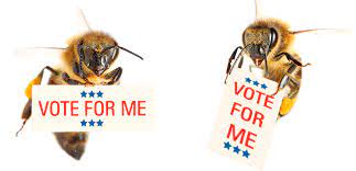 1HiveNFBeez's tweet photo. MEME CONTEST VOTING IS ON
In the #NFBeez Discord ๐ฅ ๐ฅ๐ฅ
Everyone can vote and has the same voting weight๐โจ
Join us in our Discord
https://t.co/aE7WHRRI8V
Good luck๐ https://t.co/FglbaOJLp1