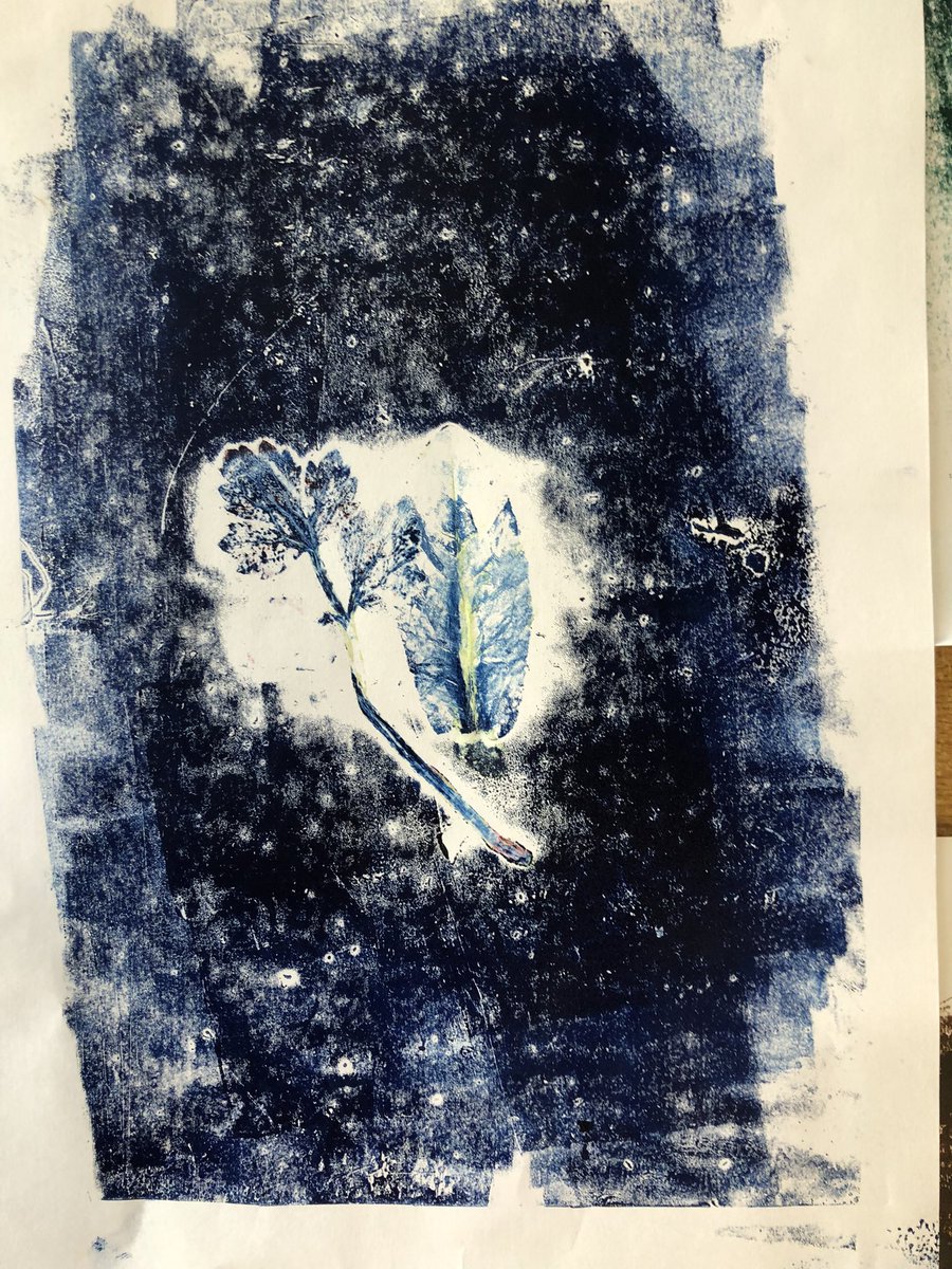 GardenPlanta's tweet photo. Creating botanical prints with 3rd class children at @hscl_stthomassns today - great fun collecting leaves #botanicalprinting #ecoart #artinschools https://t.co/KzEvivHxRL