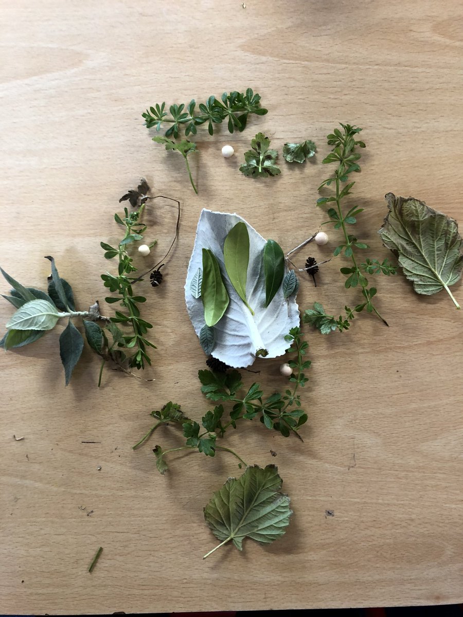 Creating botanical prints with 3rd class children at @hscl_stthomassns today - great fun collecting leaves #botanicalprinting #ecoart #artinschools