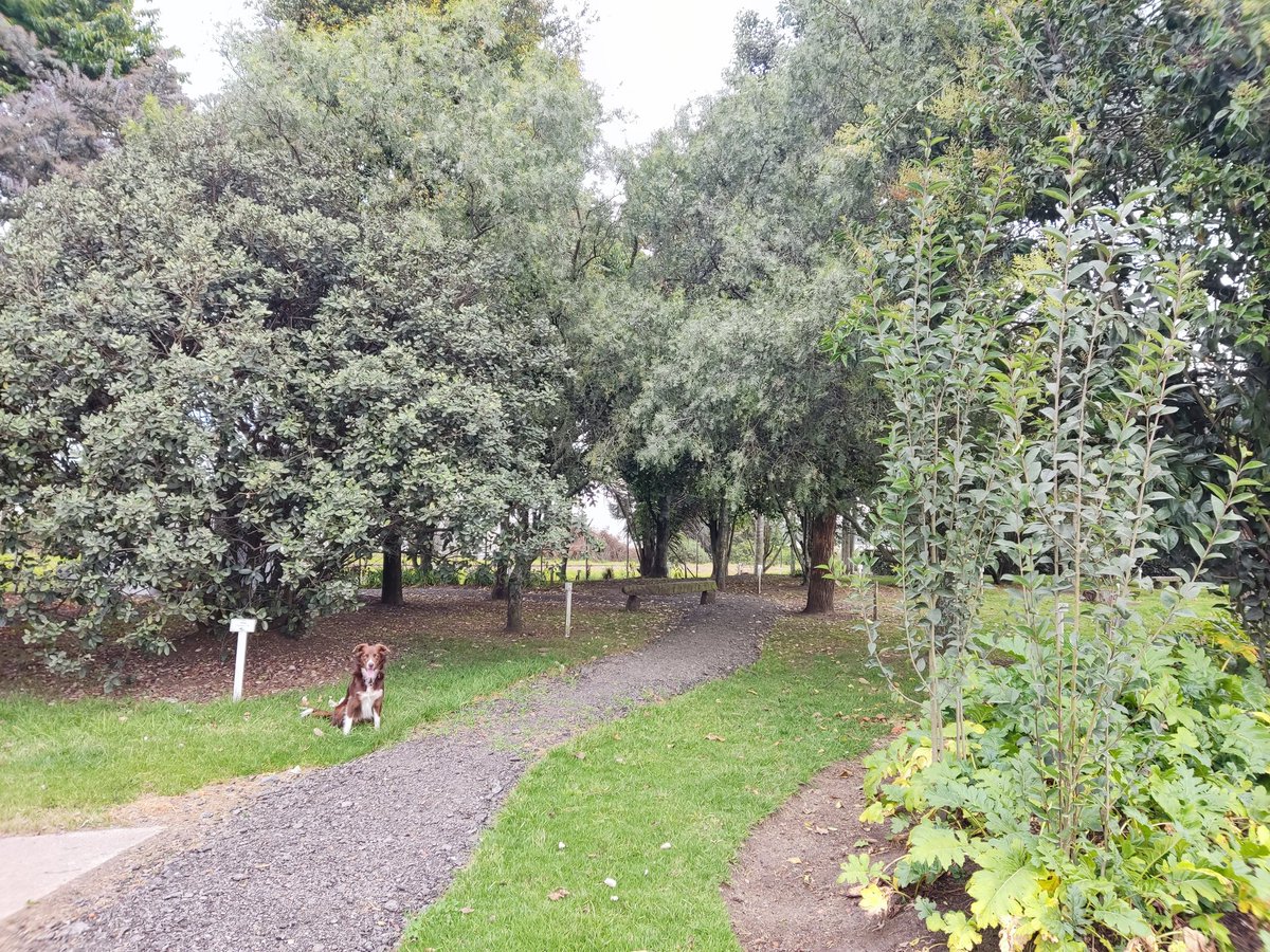 pulidoscar's tweet photo. @ConcesionCCFC tienen un bonito espacio con info de plantas y sillas que lamentablemente no puede ser visitado por ciudadanos, cómo me indicó el vigilante que me solicitó salirme porque está prohibido el acceso. Una medida arbitraria e incoherente, pero bueno uds son los dueños:( https://t.co/DtDYXoR8WD