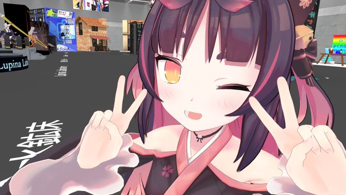 VRCの楽しみ方完全に理解した 