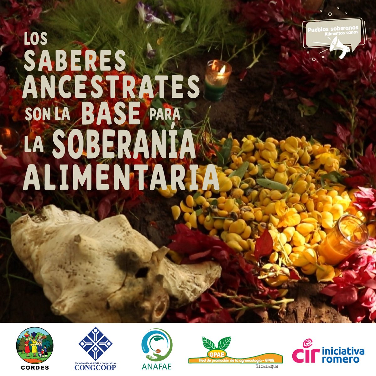 CordesOficial's tweet photo. π΄ππ π€ π€ππππ£ππ€ πΈββπΌππβπΈππΌπ π€π π ππ πππ€π π‘ππ£π ππ ππ πππ£πππΜπ πΈππππππ₯ππ£ππ.
#PracticasAncestrales #SemillasNativas #AlimentosSanos #AlimentosLibresDeAgrotoxicos #SoberanΓaAlimentaria
Con el apoyo solidario de @CI_Romero https://t.co/nAs1dJDsxc