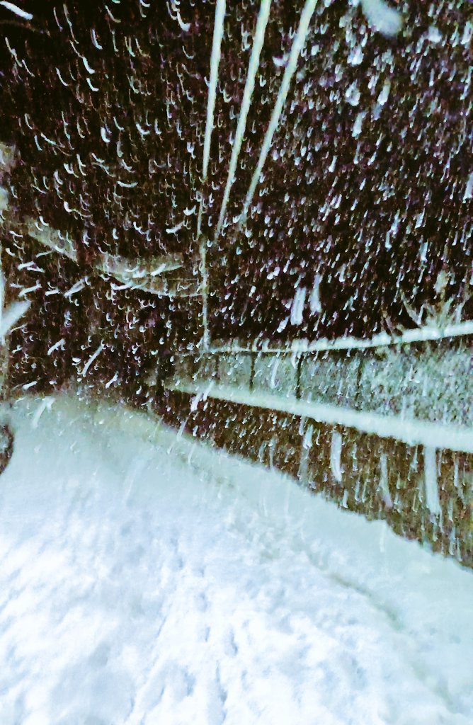 mirmozim18's tweet photo. Some glimpses of snow🖤🖤🖤
#WinterWeather
#snowday #bandipora #Bonakoot https://t.co/T0GgzdxfY4