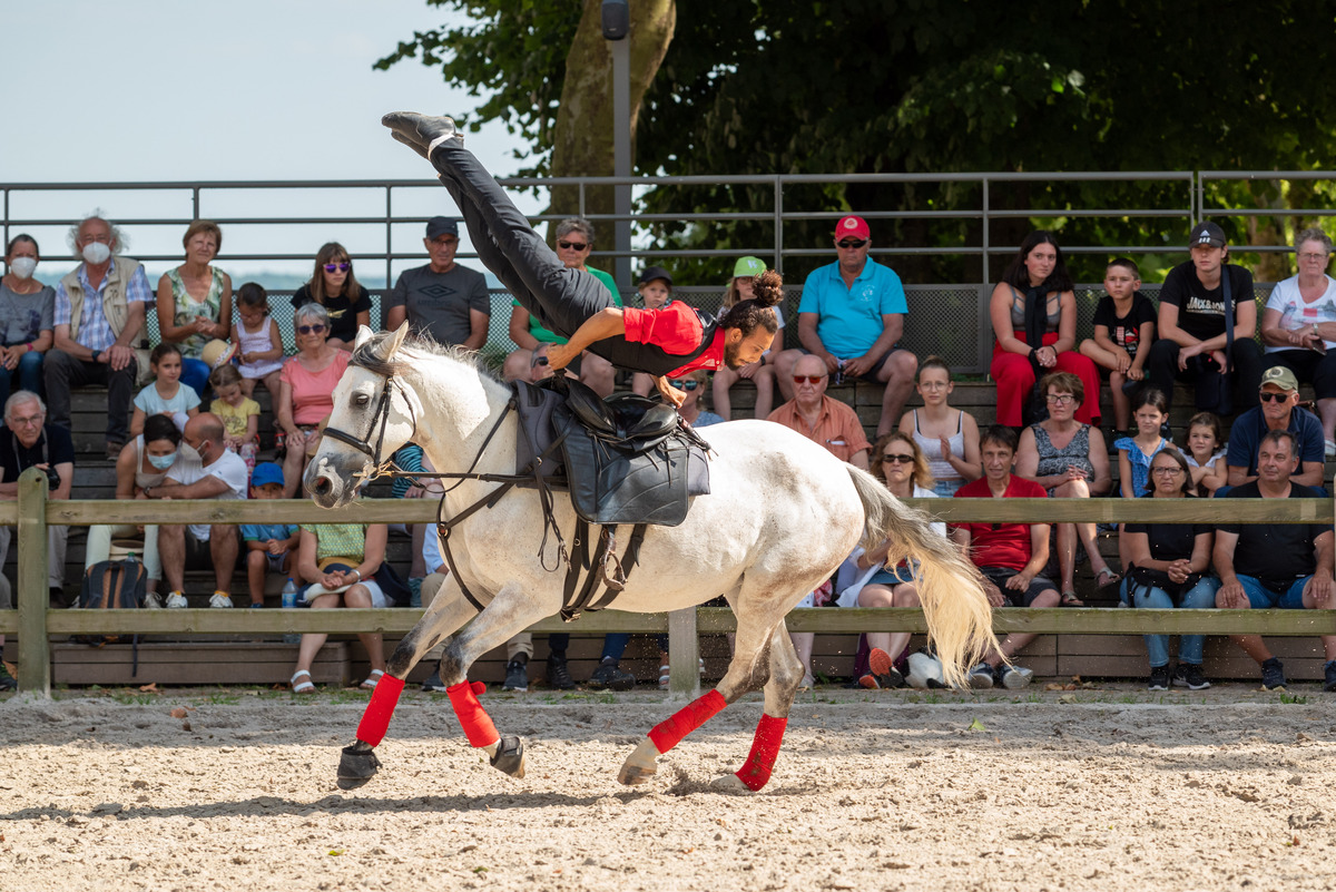 's tweet image. Le #HarasduPin propose une offre de groupe 🙌🏼

Les groupes (à partir de 20 personnes) peuvent profiter de nos nombreuses activités touristiques et culturelles 😀

Pour en savoir plus 👉bit.ly/3kmaFrz

📸 David Commenchal

#offregroupe  #Orne #Normandie #Normandietourisme