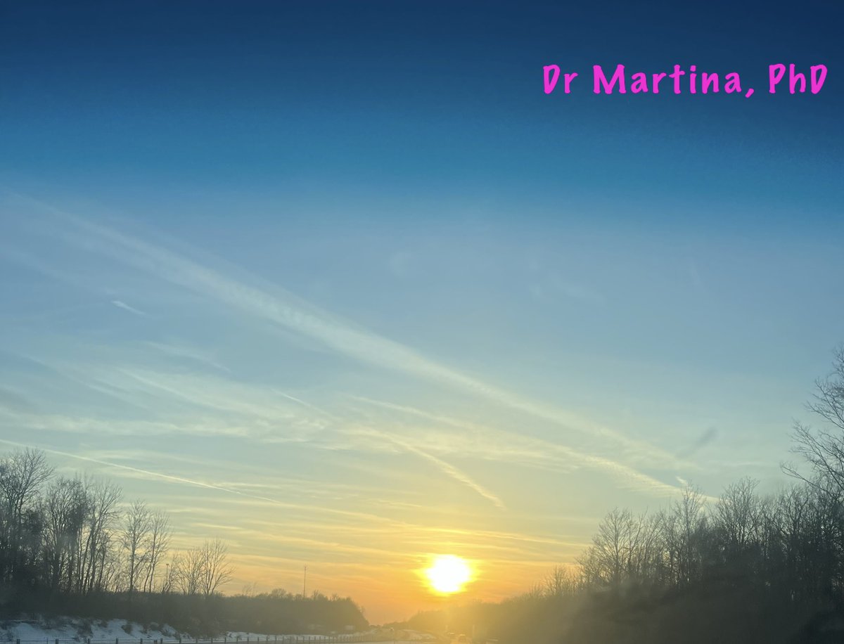 DrMartinaPhD's tweet photo. Hi There! How’s your 2023 going so far?
Lately I've been resorting to old habits of checking my phone as soon as I wake up, getting into “work mode” before "self care" mode.
Today I got up early to begin my "catch the sunrise" self care series.
It was beautiful.
#StopAndReset https://t.co/6jlk0kQ3gS