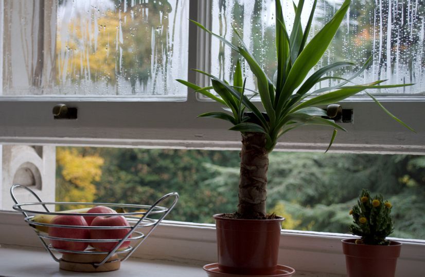 Have you noticed condensation on the windows of your new-build home? 

It may sound a little alarming, but moisture in your brand-new house is perfectly normal.

Why? Read our article to find out: bit.ly/3rVbuWn 

#NewHome #NewHouse