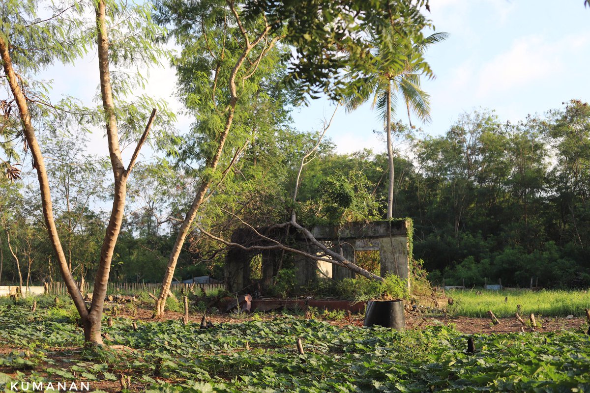 The recently released lands in Valigamam North,Jaffna  do not include any public lands in palali North(No254) village, SL army is still occupied in the public lands and they are engaged in Farming  activities.

#landgrabbing #Militarization