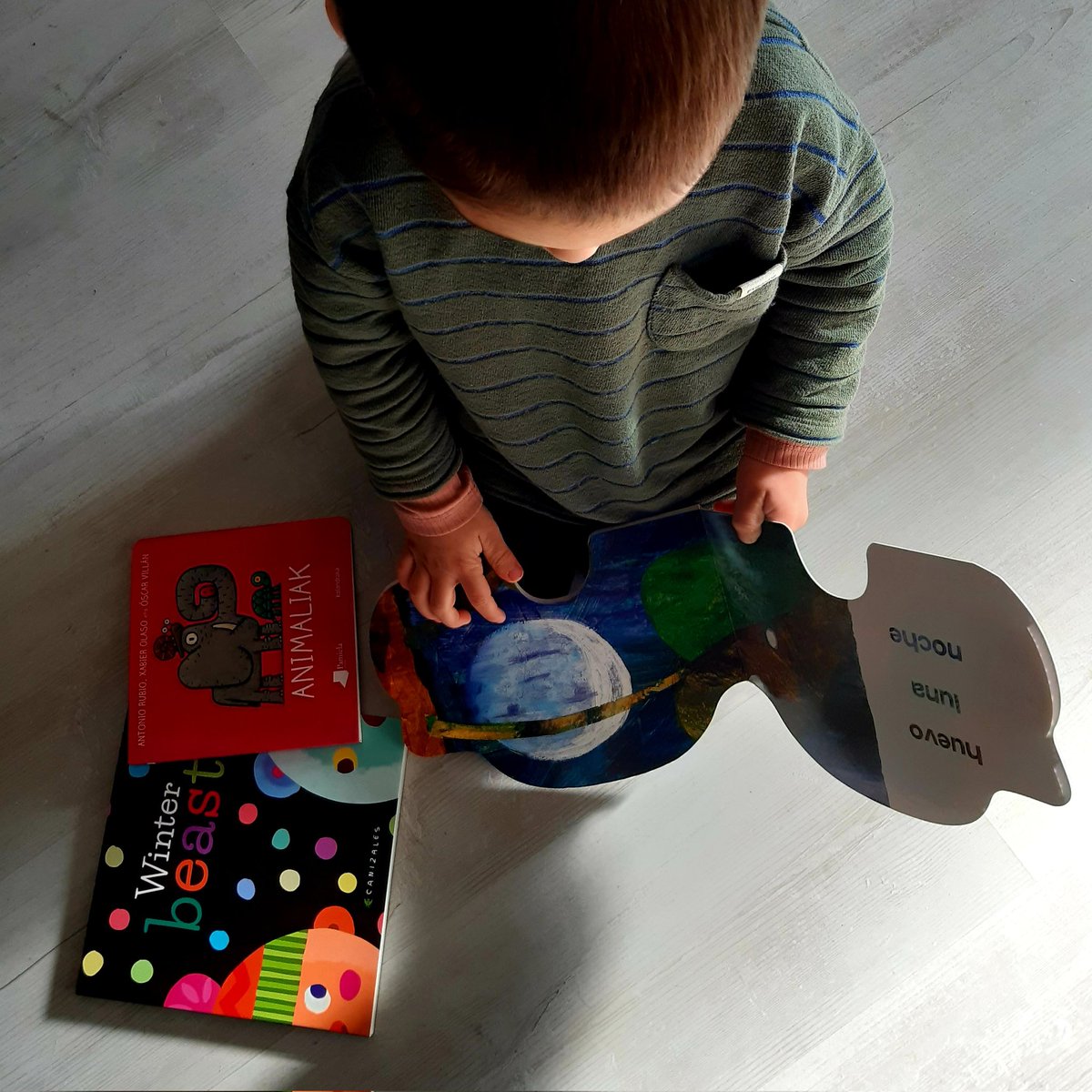 Gaur opari polita eman digute haurreskolan.Gasteizko udal haurreskoletan irakurzaletasuna sustatzen, ongi!