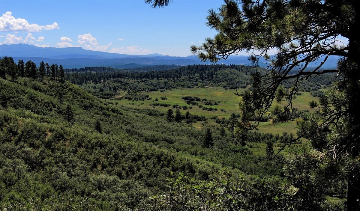 landreport's tweet photo. FOR SALE

FOREST PARK RANCH | Colorado
$16,000,000 | 2,214.58± Acres
Listed with @M4RanchGroup 

Find out about this listing: https://t.co/QRnUA7JDKF https://t.co/2Wi2SliqJm