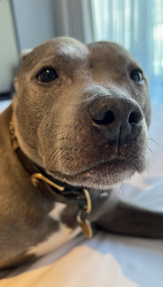 tomhaccess's tweet photo. ELE TÁ VIVO! Tom Holland via Instagram Stories. 🫶🏻🥹 https://t.co/ItDCENgTFr