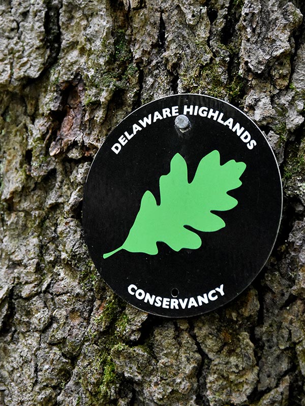 Delaware Highlands Conservancy tweet media