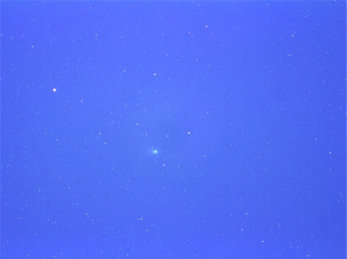 teruji_yokohama's tweet image. #ZTF彗星 と #火星 が2月11日に最接近。その前にEOSKissX7iで撮っておきました。左画像が焦点距離112mmで左上に彗星、右やや下に火星。右画像は320mm。#BENROPOLARIS で導入追尾。真上でエビぞり不可、顔も向けられず。