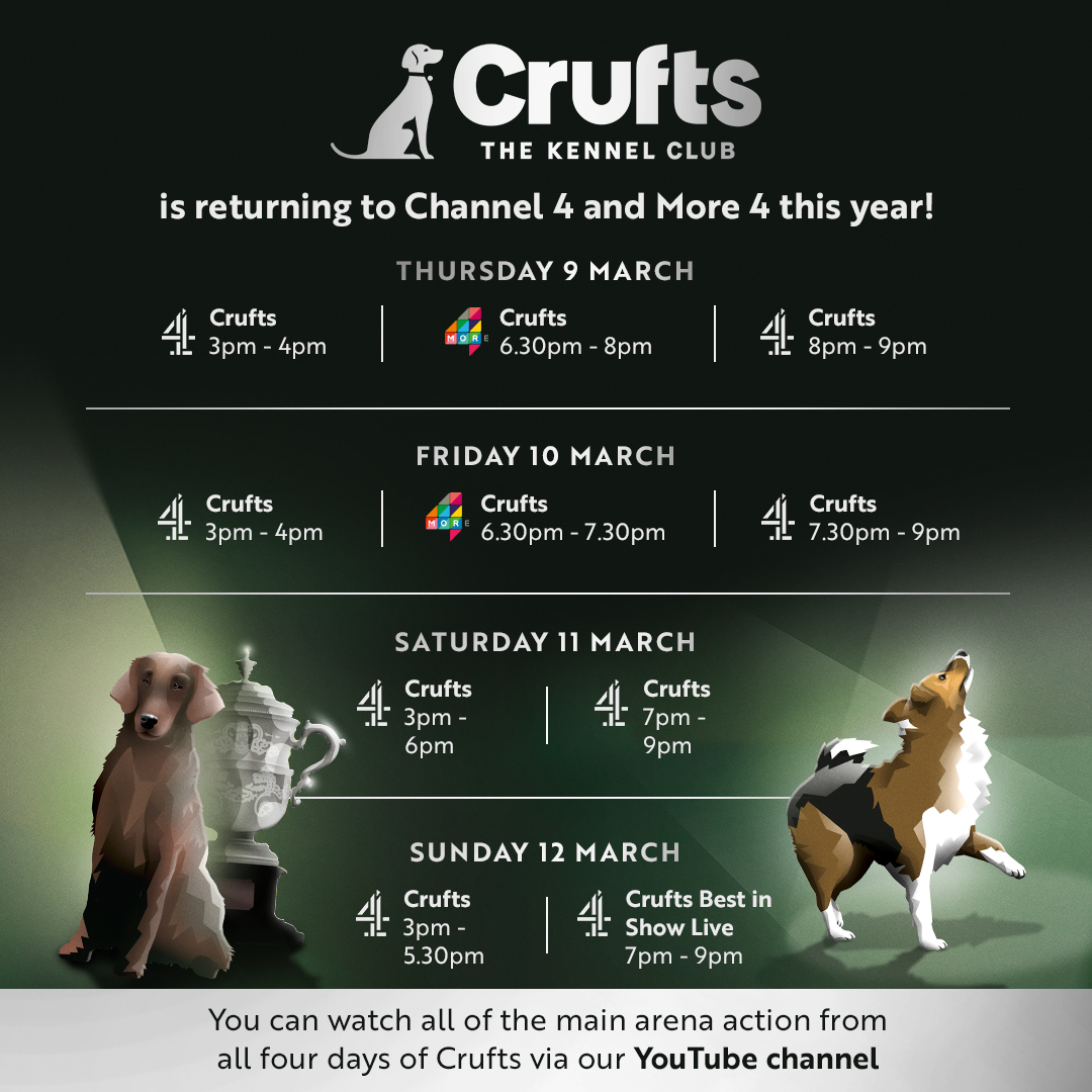 DiscoverDogsUK's tweet photo. More Crufts on TV than ever before! Find out more about how to watch Crufts at https://t.co/mGpXkKmhnl. https://t.co/wKVgY2hhOy