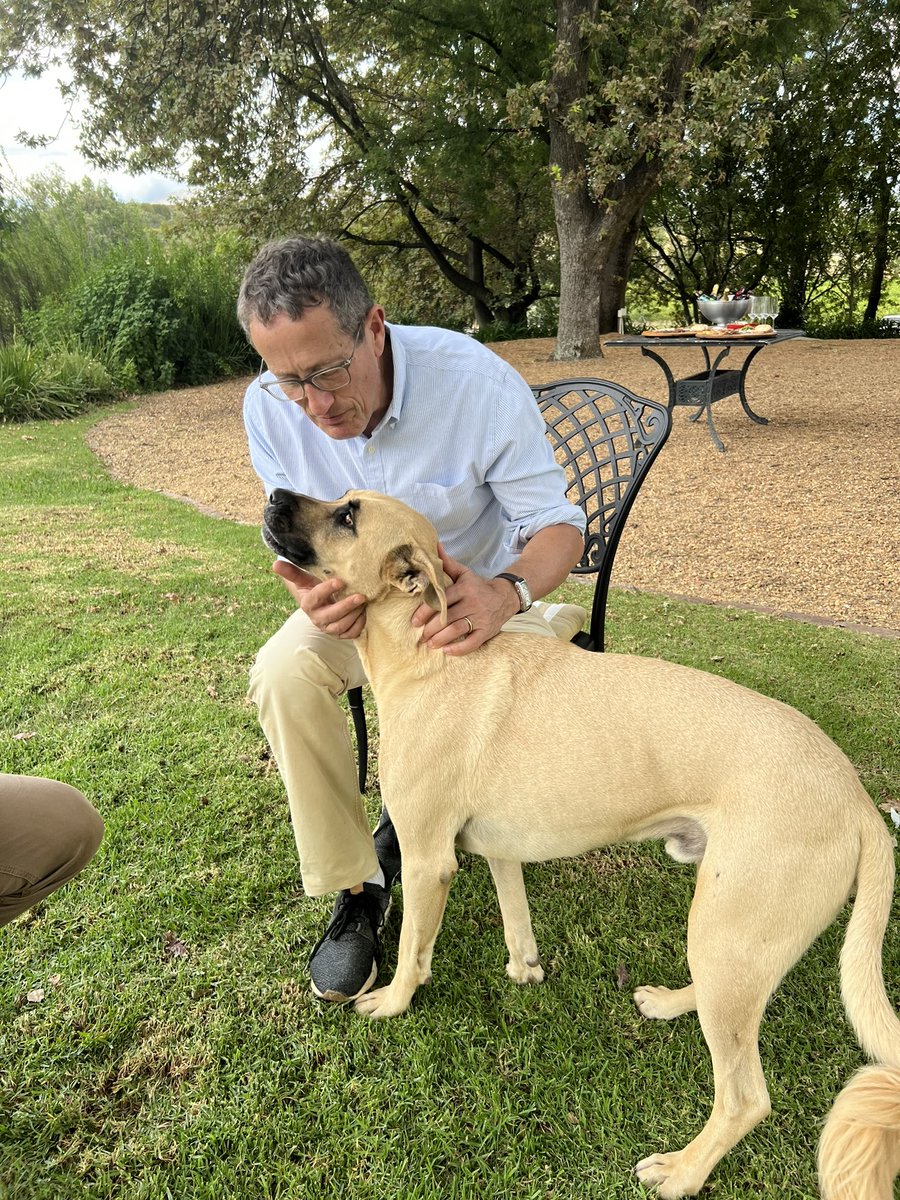 It seems that <a href="/richardquest/">Richard Quest</a> is connecting with some of SA’s finest mutts. Leo of <a href="/PlaisirEstate/">Plaisir</a> is entranced.