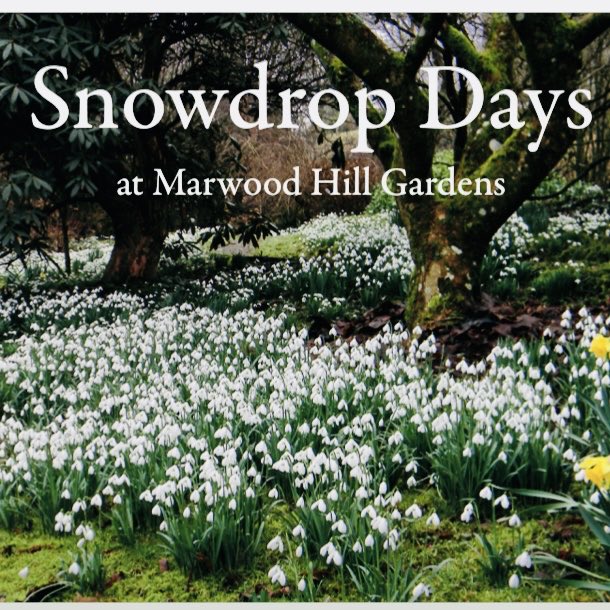 Ahh the end of winter is nigh! Looking forward so much to visiting beautiful ⁦<a href="/MarwoodGardens/">Marwood Hill Gardens</a>⁩ for their first 2023 snowdrop day Sunday 12th February. (And if you haven’t yet tasted their ginger scone cream tea, you have a massive treat in store..) #NorthDevon #DaysOut