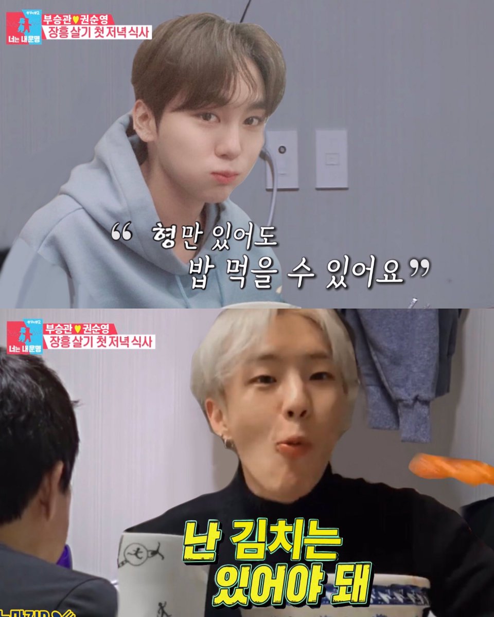 부홋 카피페 tweet media