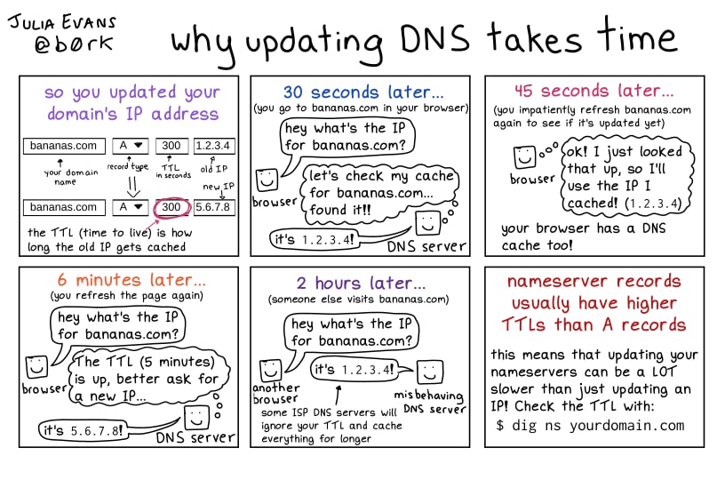 Why updating DNS takes time?