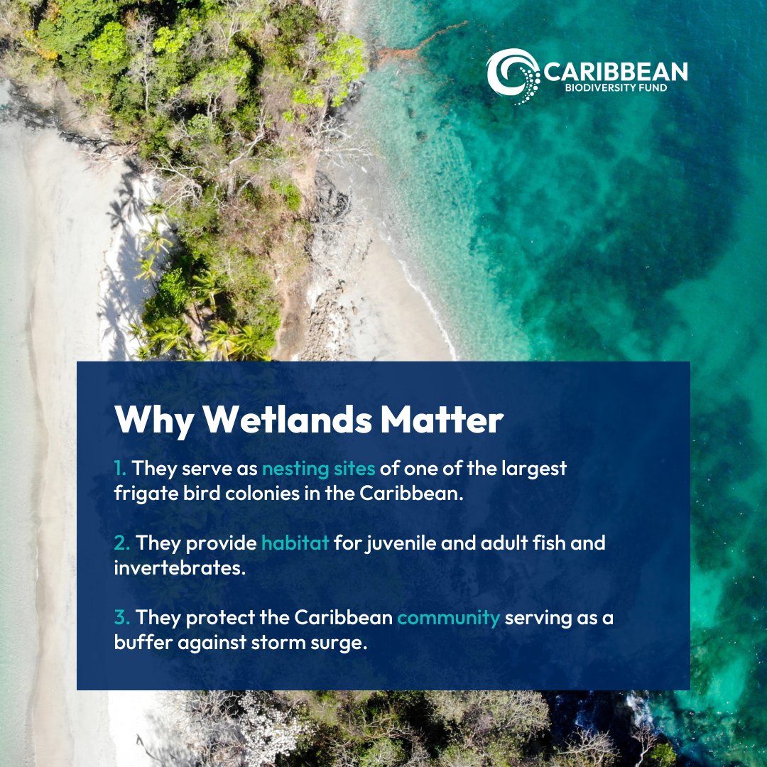 Caribbean Biodiversity Fund (CBF) (@caribbiofund) on Twitter photo #Wetlands matter because they act as natural shields for inland areas and coastal communities.
The <a href="/IMAgovTT/">Institute of Marine Affairs (IMA)</a>  recognizes the potential of wetlands as #ClimateAdaptation measures and develops science-based projects to further this. #Wetlands matter because they act as natural shields for inland areas and coastal communities.
The <a href="/IMAgovTT/">Institute of Marine Affairs (IMA)</a>  recognizes the potential of wetlands as #ClimateAdaptation measures and develops science-based projects to further this.