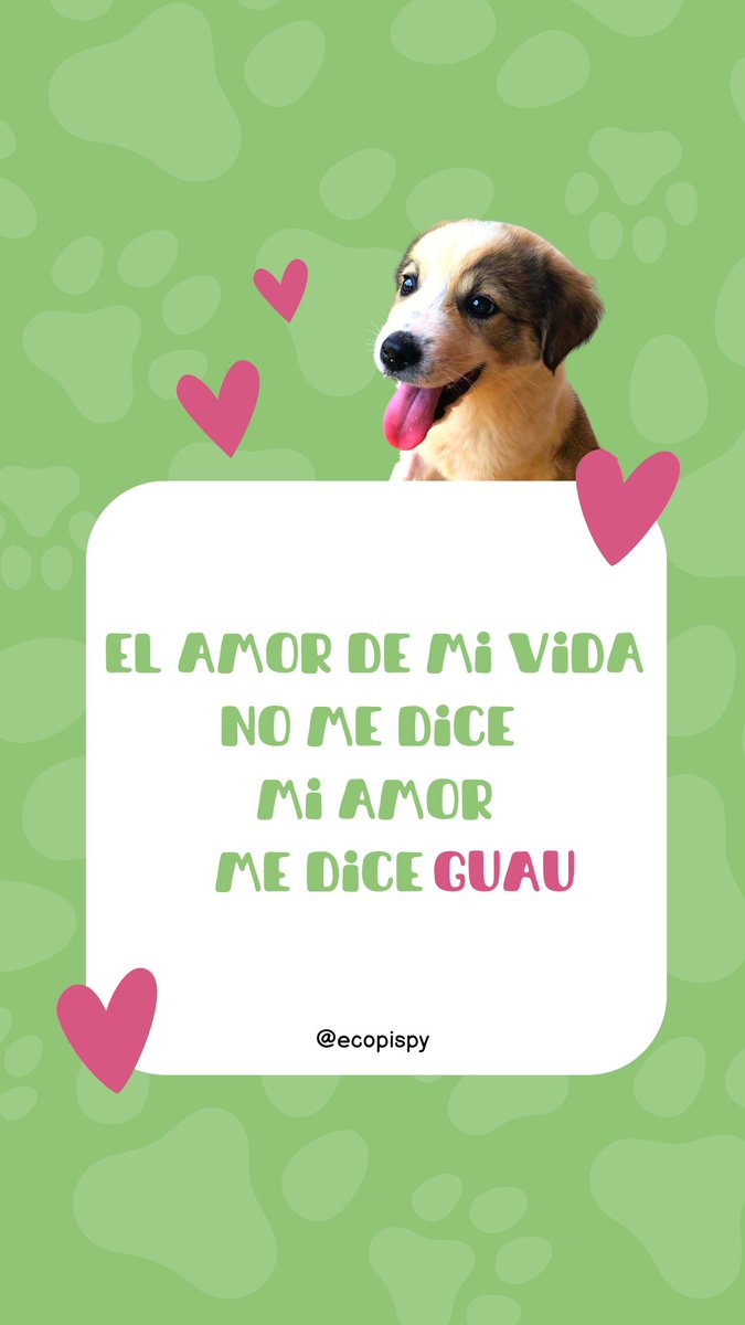 Ecopispy's tweet photo. #AmorPerruno 
El amor de mi vida, no me dice mi amor, me dice GUAU 🐕💚🐾

#EcoPispy #sanvalentin #Paraguay https://t.co/RByNqjmoDT