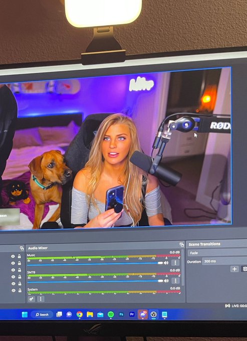 my twitch channel is ready to gooo😝 come hang w me and my stuffed animals tomorrow night https://t.co/mndUev8kL4<a href="/tag/silenceofthelambs"class="tags"><span>#silenceofthelambs</span></a>