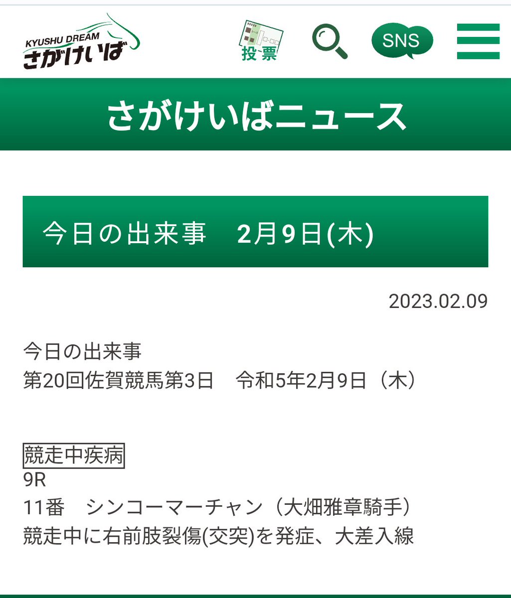 シンコーマーチャン、痛そうに走ってたけど裂傷だったのか…その後大丈夫かな😰 