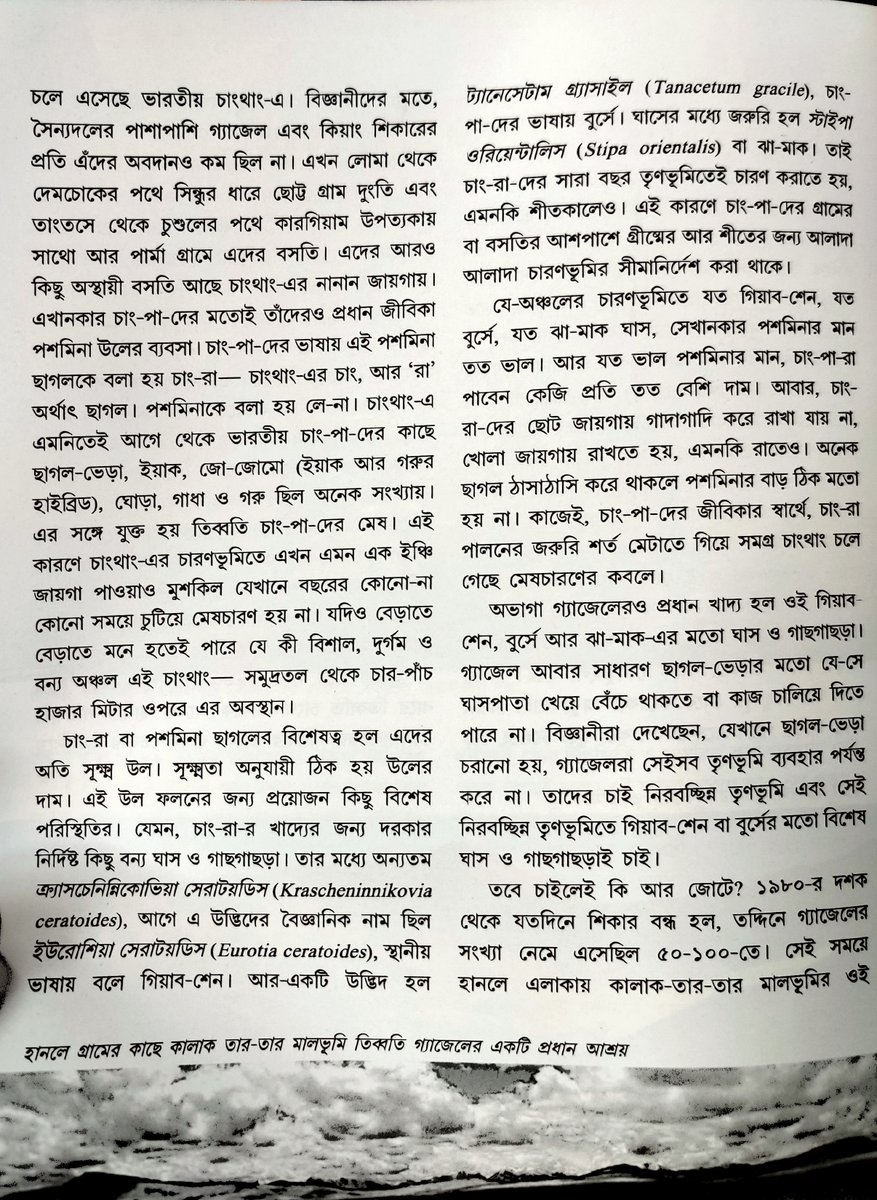 ghoshal_a's tweet photo. 'এখন আরণ্যক'-এর বই মেলা সংখ্যার 'গ্যাজেলের গোরস্থান' থেকে (Kolkata Book Fair, Stall no. 206, Gate no. 4) https://t.co/Zk4iRy7Fdb
