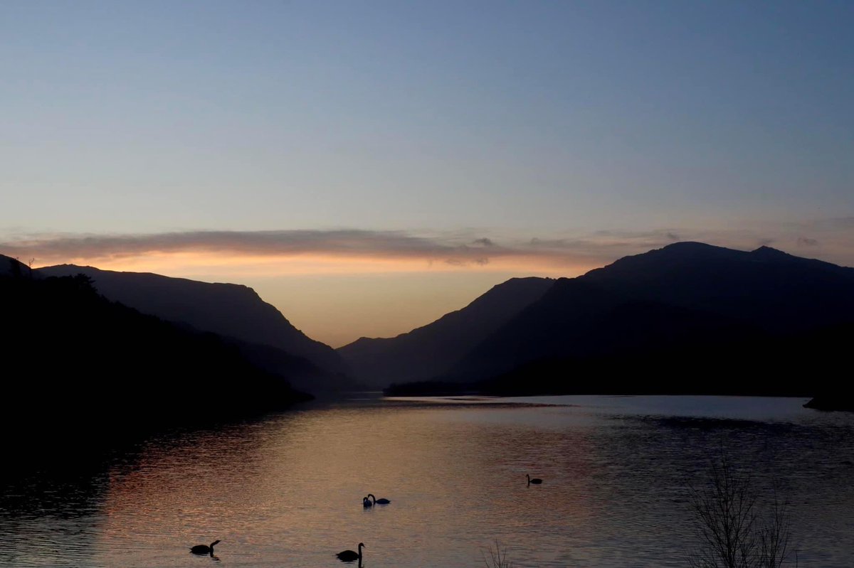 Dylan Williams tweet media