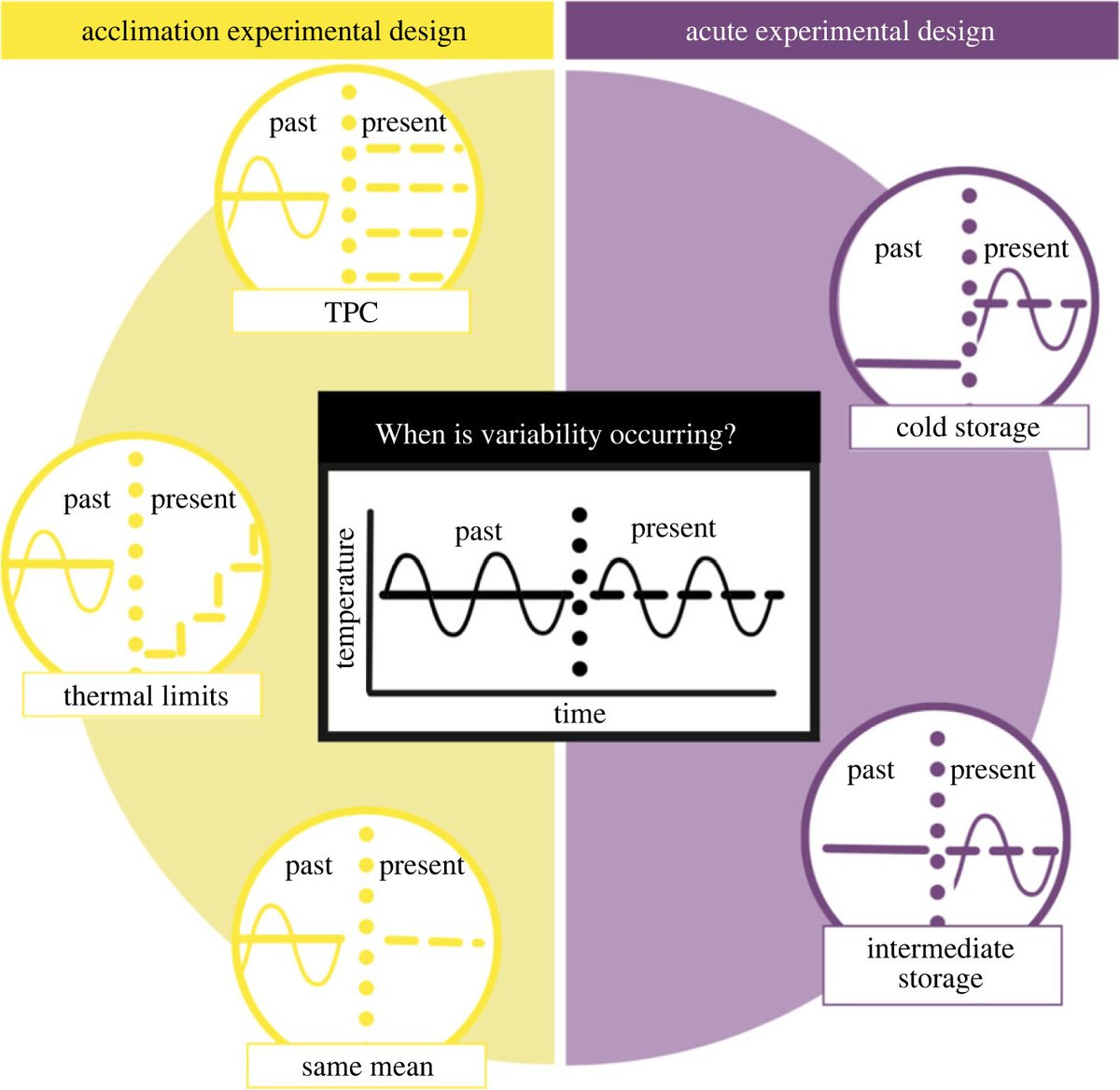 Royal Society Publishing (@rsocpublishing) on Twitter photo Effects of #thermal fluctuations on biological processes: a meta-analysis of experiments manipulating thermal variability #EvidenceSynthesis #ProcB #OpenAccess <a href="/JoeyBernhardt/">Joey Bernhardt</a> <a href="/mioconnor/">Mary O'Connor</a> <a href="/sbfey/">Samuel Fey</a> <a href="/sleinma/">maggie slein (she/her)</a> #Ecology ow.ly/SN9b50MO945 Effects of #thermal fluctuations on biological processes: a meta-analysis of experiments manipulating thermal variability #EvidenceSynthesis #ProcB #OpenAccess <a href="/JoeyBernhardt/">Joey Bernhardt</a> <a href="/mioconnor/">Mary O'Connor</a> <a href="/sbfey/">Samuel Fey</a> <a href="/sleinma/">maggie slein (she/her)</a> #Ecology ow.ly/SN9b50MO945