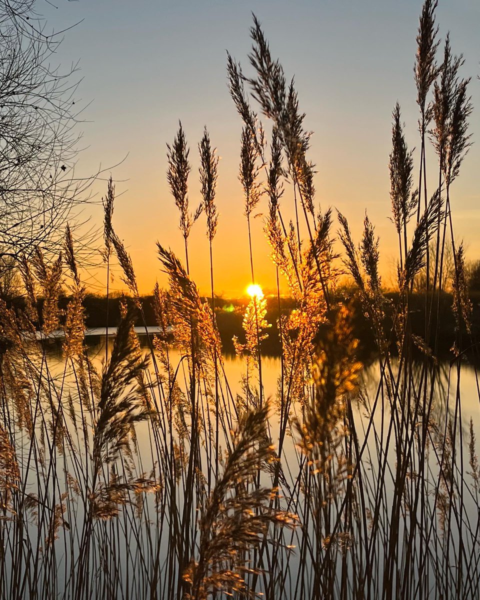 LovetheBroads's tweet photo. Anytime of day is well worth a visit, pure gold. https://t.co/BuoW1op8ri