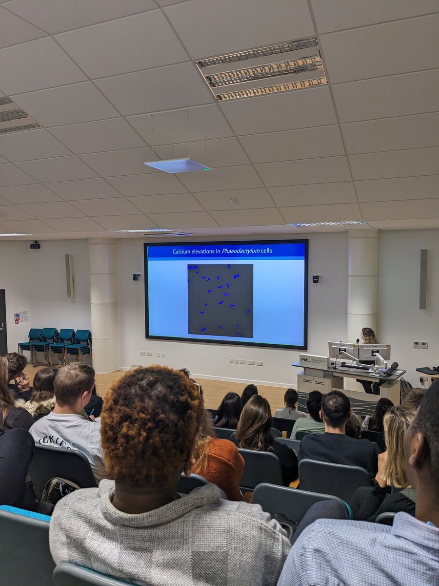 PlyMSEF 2023 tweet media