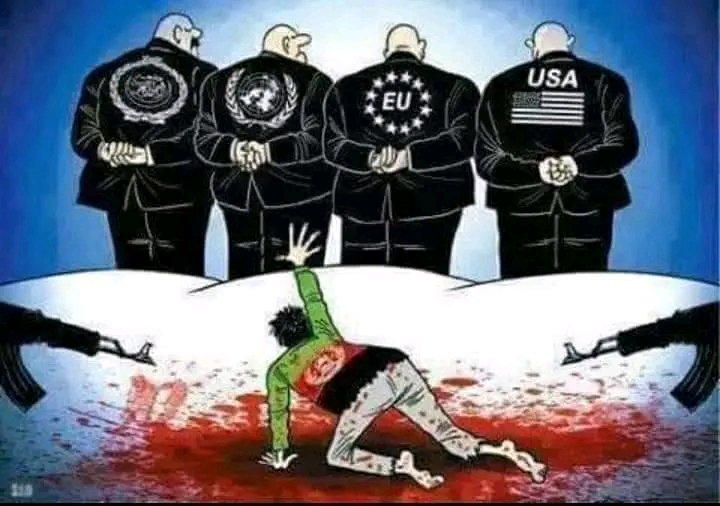 Azada232's tweet photo. تمام ارگان ها و سازمان‌های بین‌المللی جامعه #LGBTQIA را به بُعد فراموشی سپردند.
#LetUsLive 
#WeAreAfghanLGBTQ https://t.co/c9uEzFDVTF