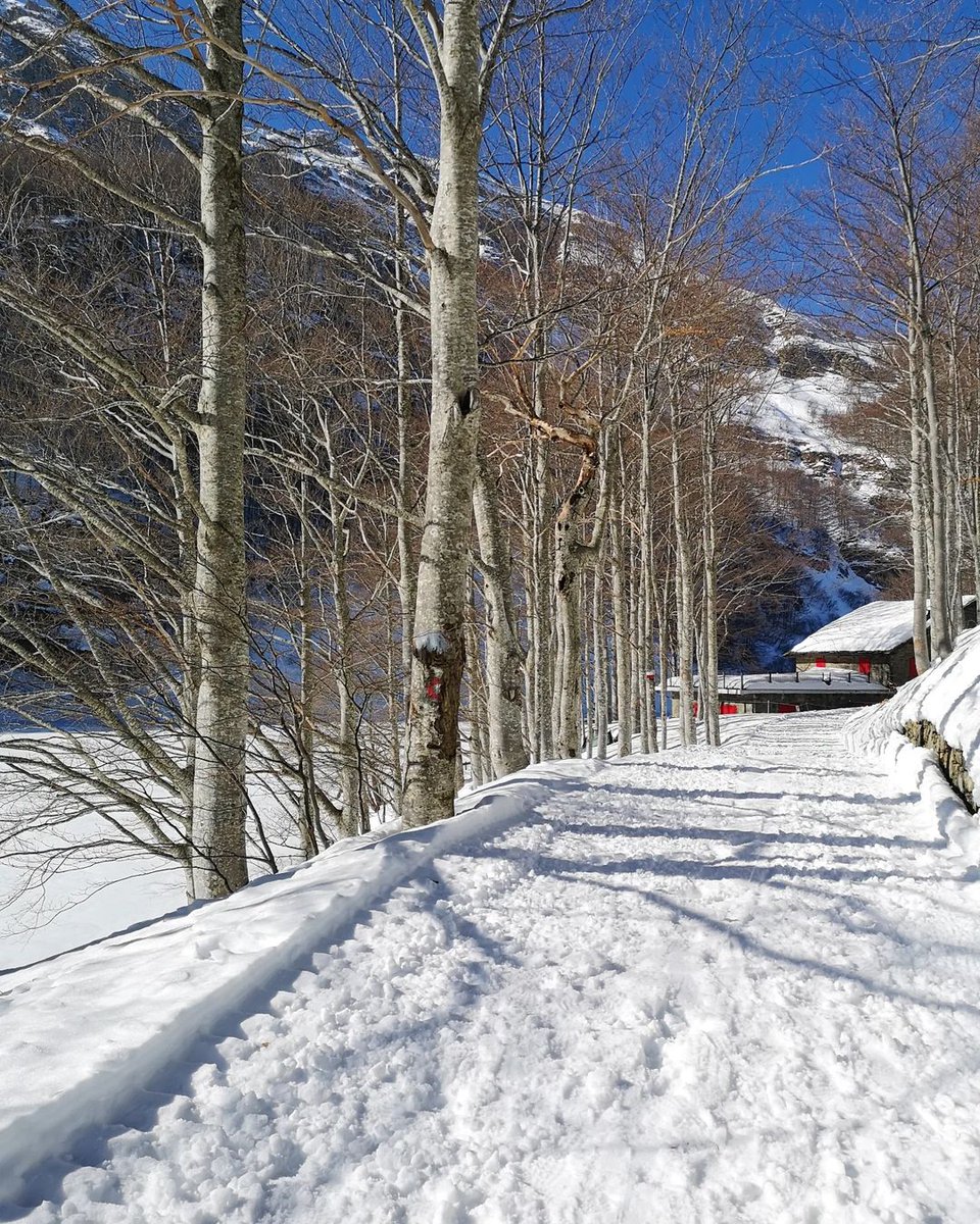 ModenaDintorni's tweet photo. La #Lapponia di casa nostra ❤

Neve, boschi e paesaggi che sembrano usciti da una cartolina dell'Europa del nord, e invece siamo sulle sponde del #LagoSantoModenese: uno dei gioielli naturali del nostro territorio!

Ph gianluca_gio87 | Via #modenaedintorni https://t.co/T3FJoKl6zn