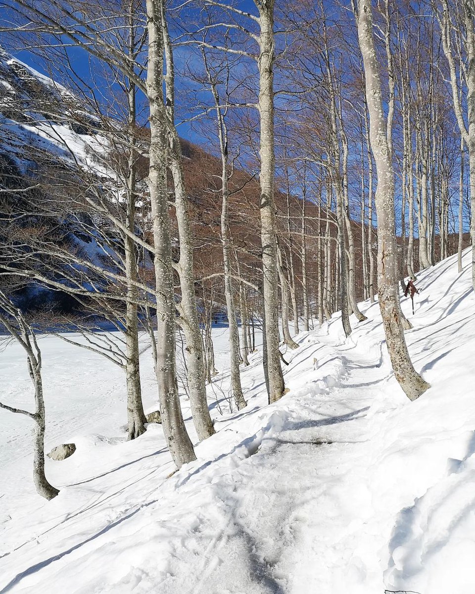 ModenaDintorni's tweet photo. La #Lapponia di casa nostra ❤

Neve, boschi e paesaggi che sembrano usciti da una cartolina dell'Europa del nord, e invece siamo sulle sponde del #LagoSantoModenese: uno dei gioielli naturali del nostro territorio!

Ph gianluca_gio87 | Via #modenaedintorni https://t.co/T3FJoKl6zn