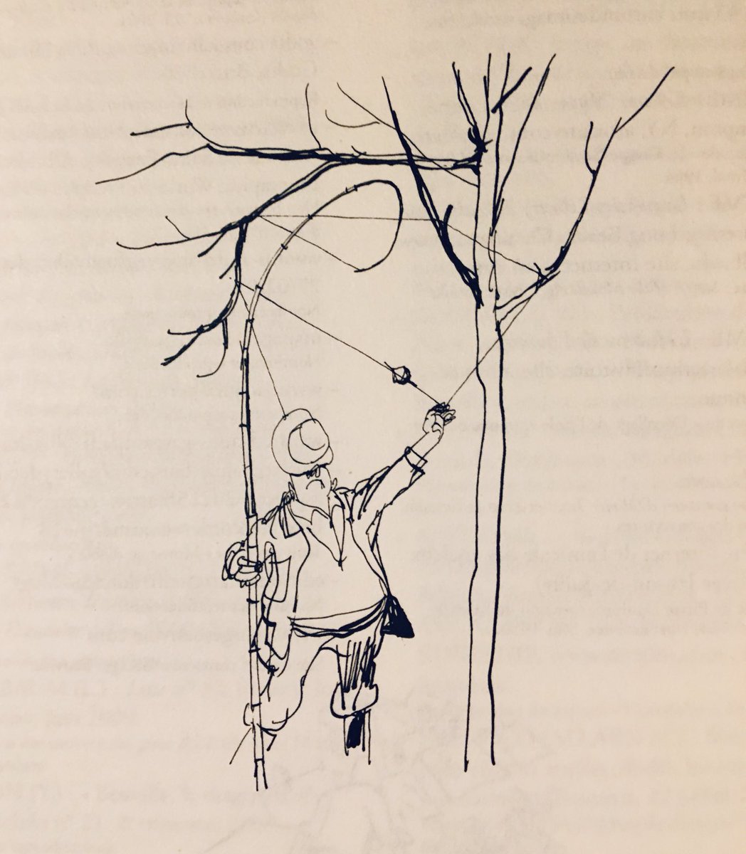 Beuville, Georges Beuville… 