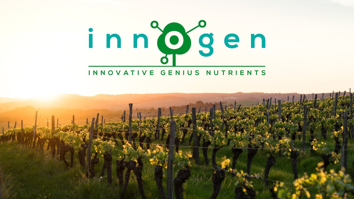 innogengr's tweet photo. Welcome to our account! https://t.co/hyX9sUFAPz