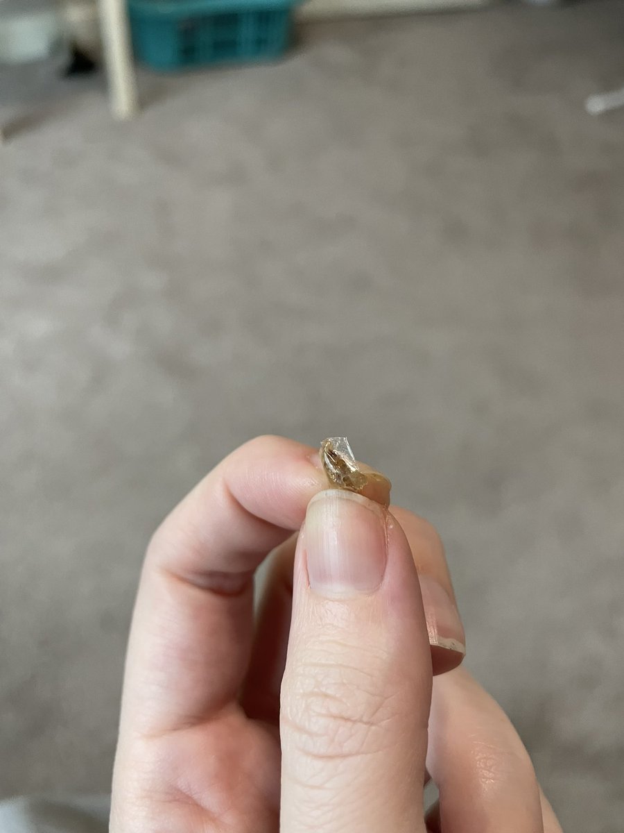 Meghan Bridget tweet media