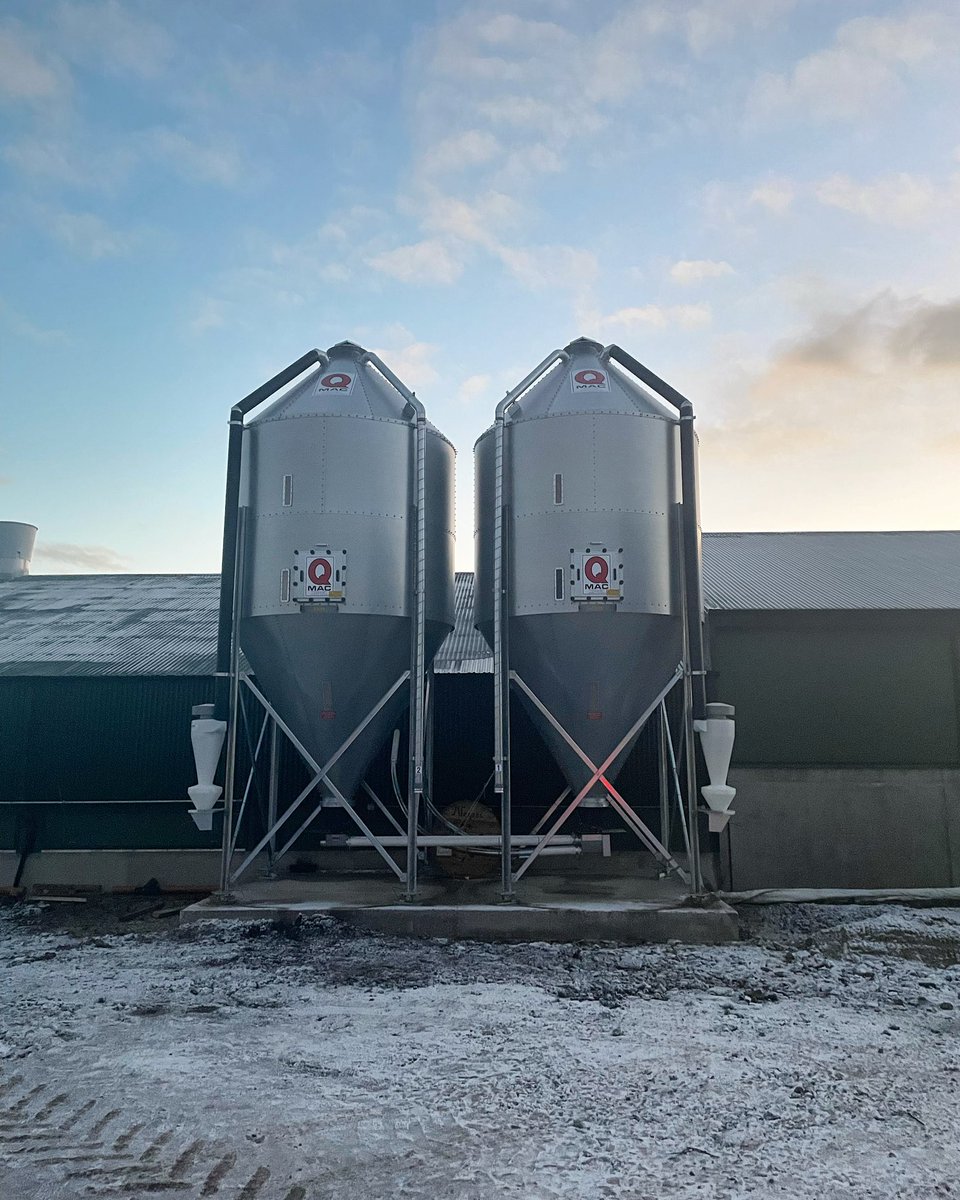 2 x 18 tonne silos delivered to a new, neighbouring poultry site, silos are on weigh cells to monitor feed levels and have dust collection cyclones fitted to help with bio security. #Qmac #Silos #QmeansQuality #poultry #biosecurity #supportlocalbusiness
