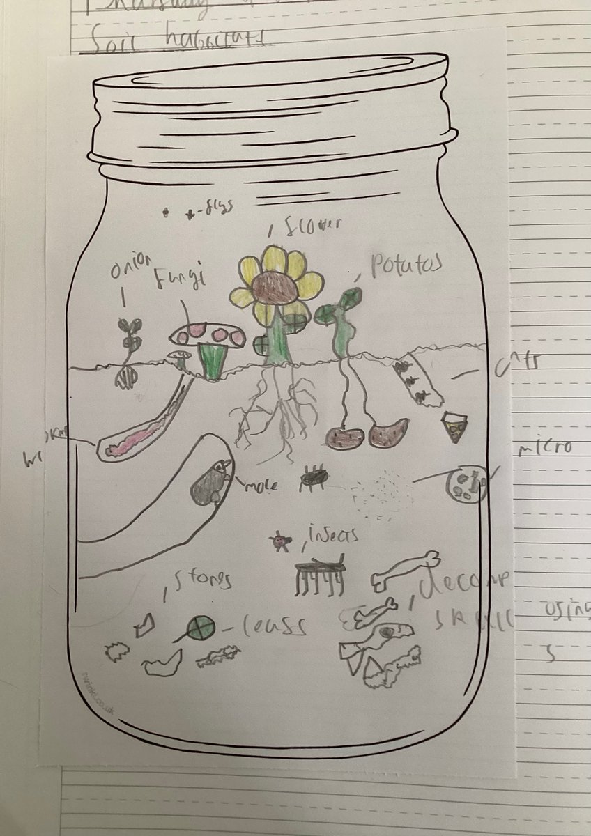 MeadowsideElder's tweet photo. @MeadowsideElder have been looking at soil habitats in science this afternoon and produced some excellent work showing what living things live in a soil habitat. #Meadowsidescience https://t.co/dmOZ4ndBC7